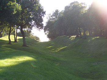The Antonine Wall at Seabegs Wood